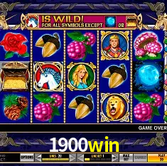 1900win Rio de Janeiro - Bonus Terms